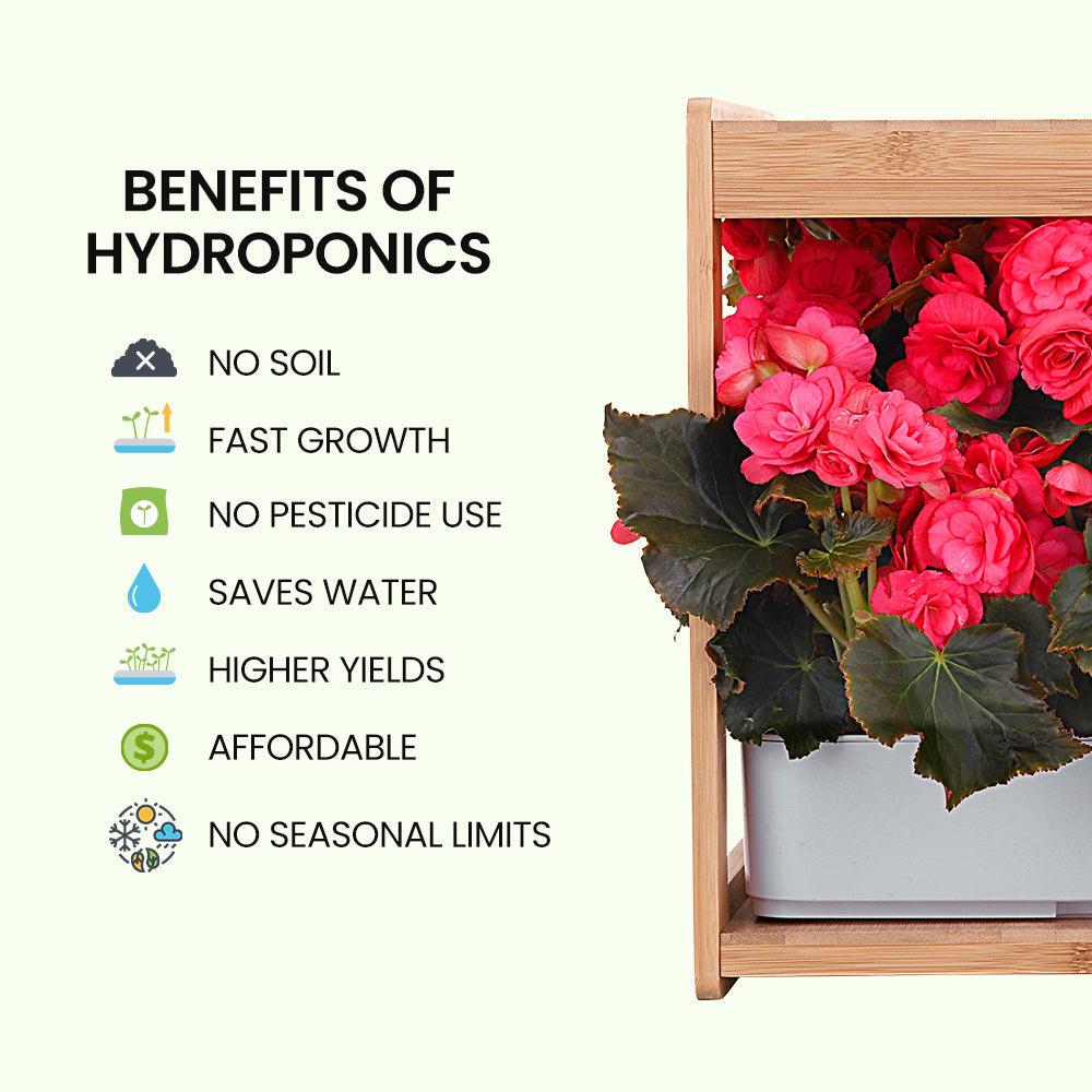 PLANTCRAFT 12 Pod Indoor Hydroponic Growing System | Bamboo Frame & LED Lights