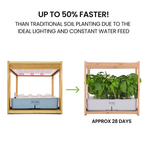 PLANTCRAFT 12 Pod Indoor Hydroponic Growing System | Bamboo Frame & LED Lights