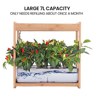 PLANTCRAFT 12 Pod Indoor Hydroponic Growing System | Bamboo Frame & LED Lights