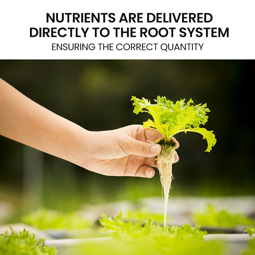 PLANTCRAFT 12 Pod Indoor Hydroponic Growing System | Bamboo Frame & LED Lights