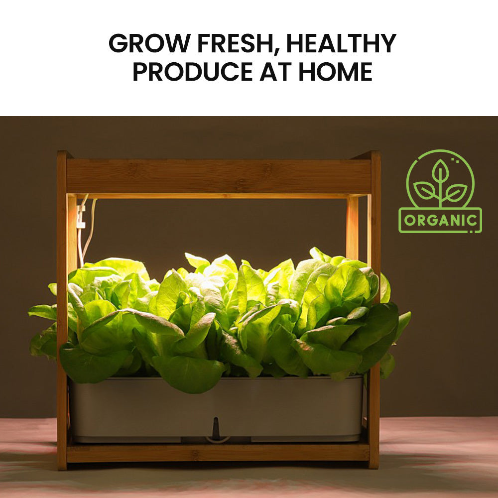 PLANTCRAFT 12 Pod Indoor Hydroponic Growing System | Bamboo Frame & LED Lights