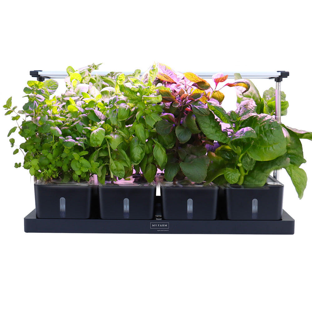 PLANTCRAFT 20 Pod Indoor Hydroponic Growing System | Water Level Window