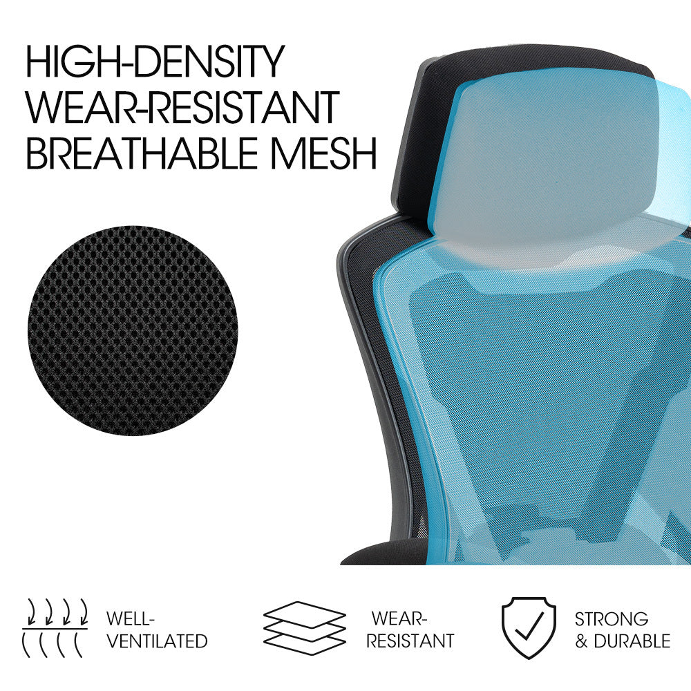 FORTIA Ergonomic Office Desk Chair | Adjustable Lumbar Support, Mesh Fabric - Black