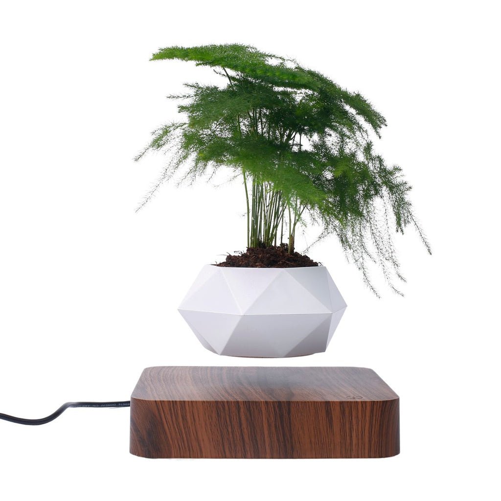 GOMINIMO Magnetic Levitating Plant Pot Dark Brown Base