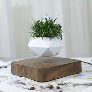 GOMINIMO Magnetic Levitating Plant Pot Dark Brown Base