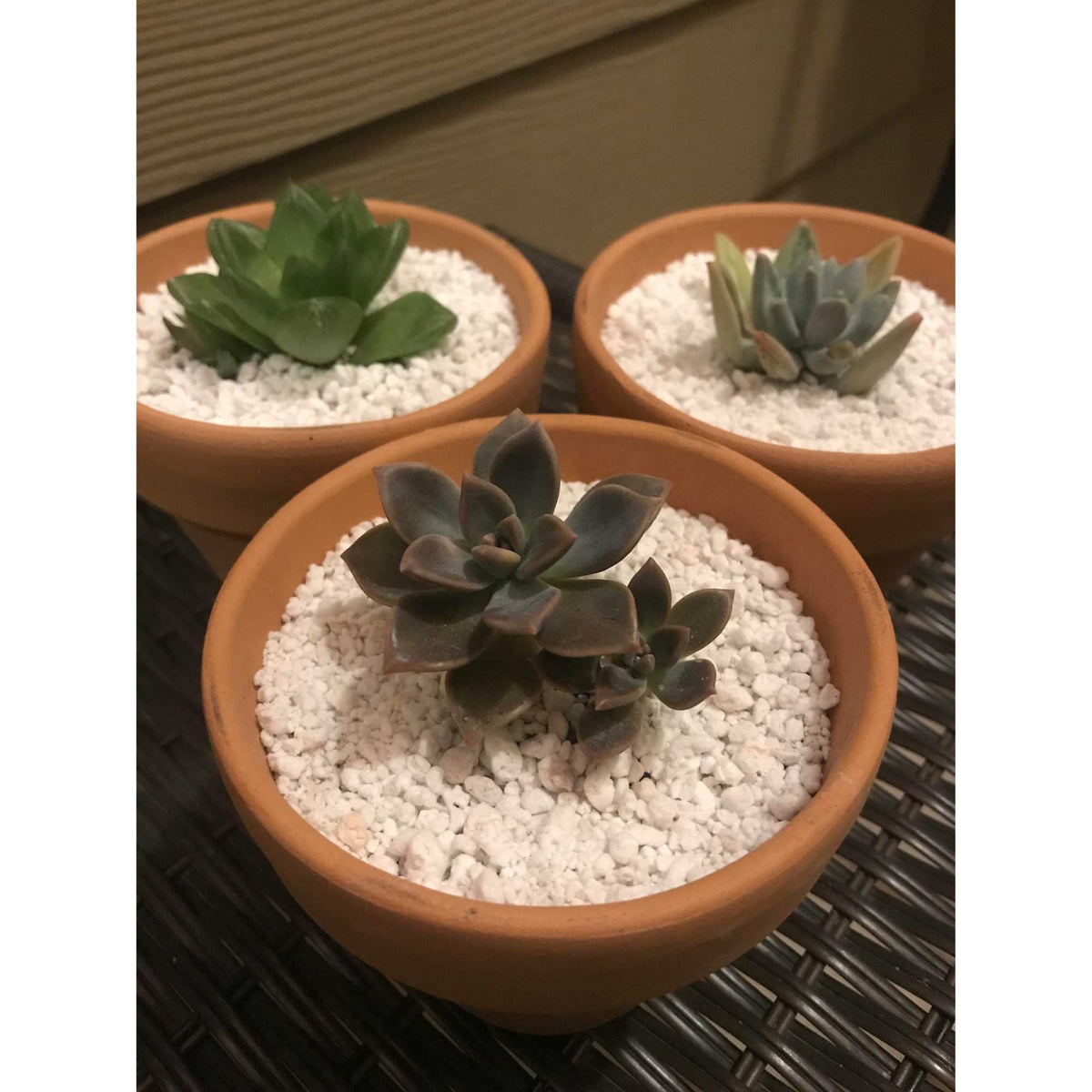 10L Perlite Organic Super Coarse Soil | Premium Expanded Medium for Hydroponics