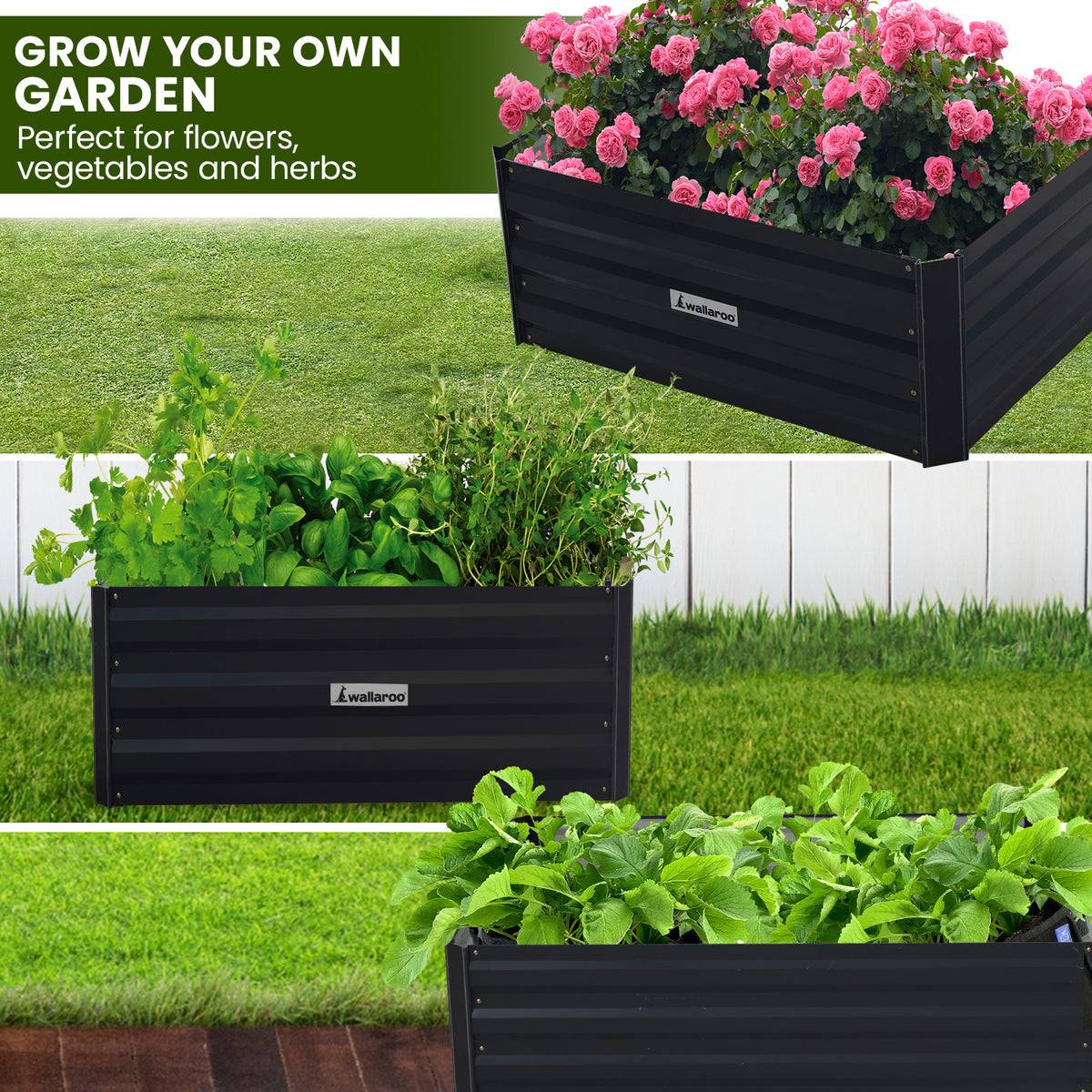 Wallaroo Garden Bed | Dimensions: 80 x 60 x 30cm | Made of Galvanized Steel | Color: Black
