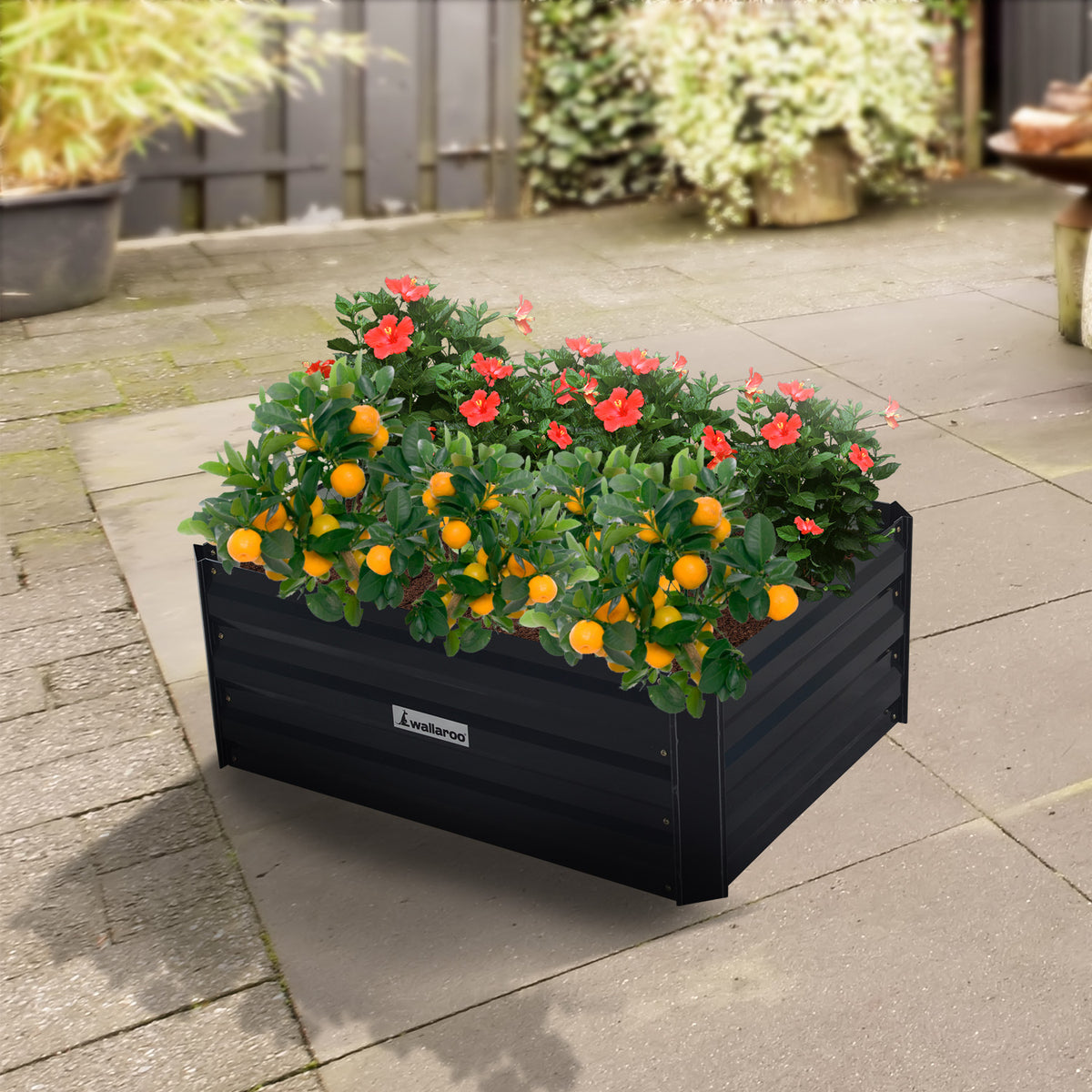 Wallaroo Garden Bed | Dimensions: 80 x 60 x 30cm | Made of Galvanized Steel | Color: Black