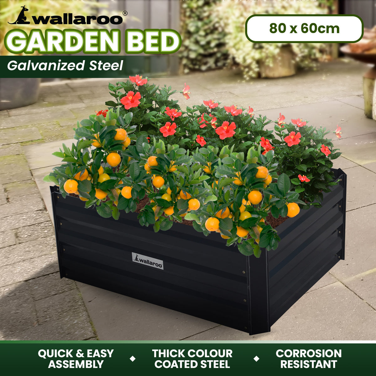 Wallaroo Garden Bed | Dimensions: 80 x 60 x 30cm | Made of Galvanized Steel | Color: Black