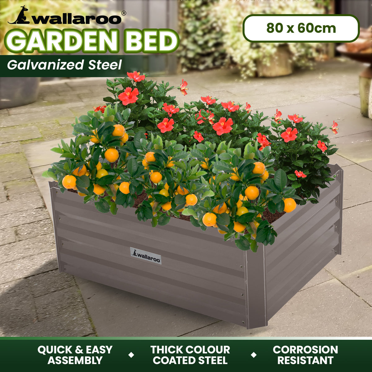 Wallaroo Garden Bed | Dimensions: 80 x 60 x 30cm | Made of Galvanized Steel | Color: Grey