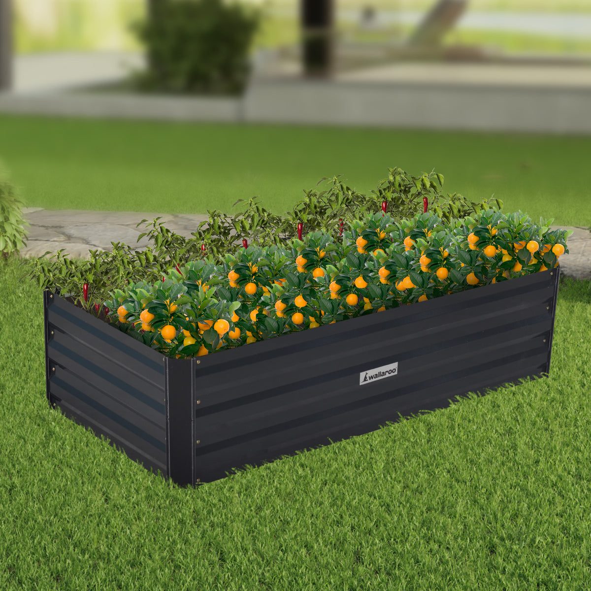 Wallaroo Garden Bed | Dimensions: 120 x 60 x 30cm | Made of Galvanized Steel | Color: Black