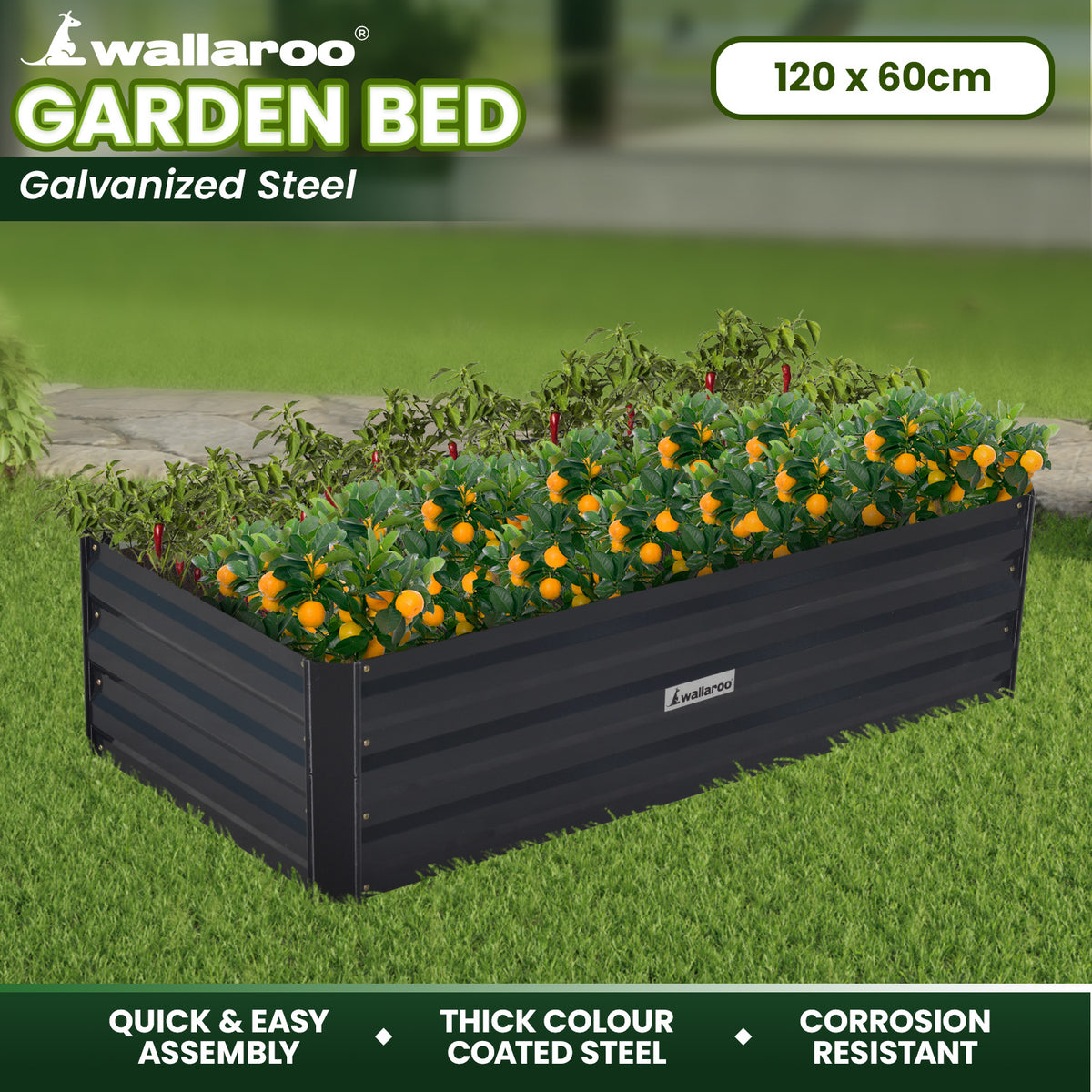 Wallaroo Garden Bed | Dimensions: 120 x 60 x 30cm | Made of Galvanized Steel | Color: Black