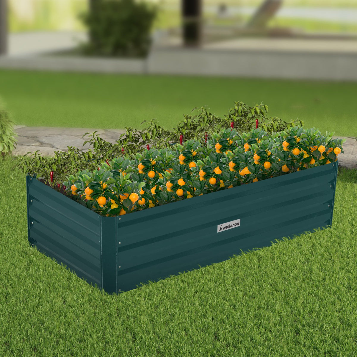 Wallaroo Garden Bed | Dimensions: 120 x 60 x 30cm | Made of Galvanized Steel | Color: Green