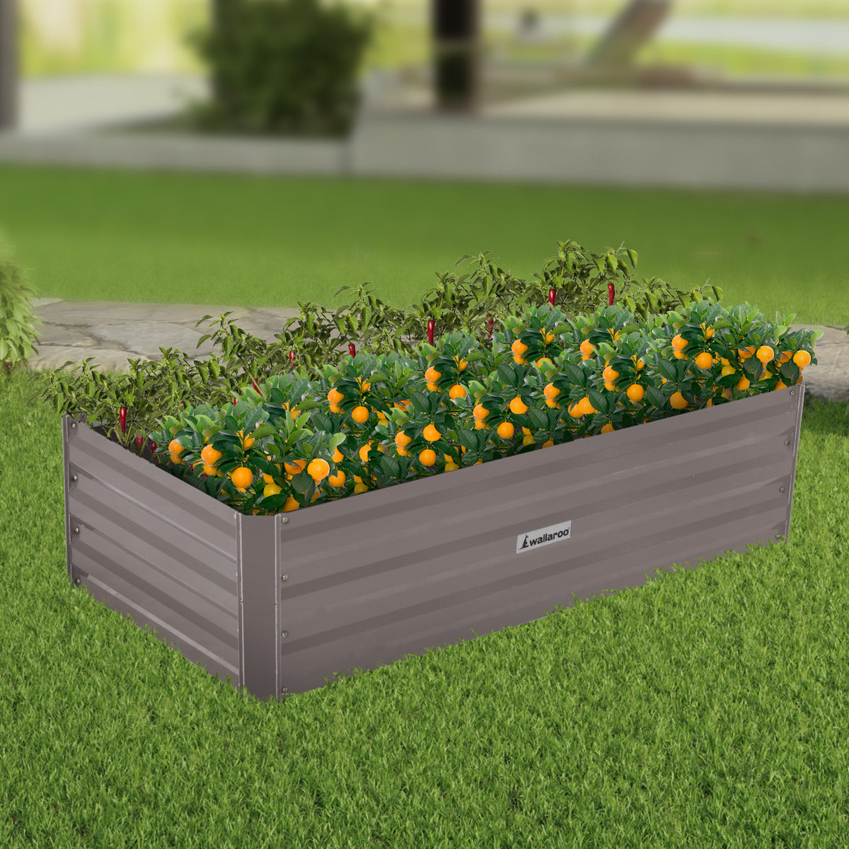 Wallaroo Garden Bed | Dimensions: 120 x 60 x 30cm | Made of Galvanized Steel | Color: Grey