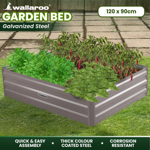 Wallaroo Garden Bed | 120 x 90 x 30cm | Galvanized Steel | Grey