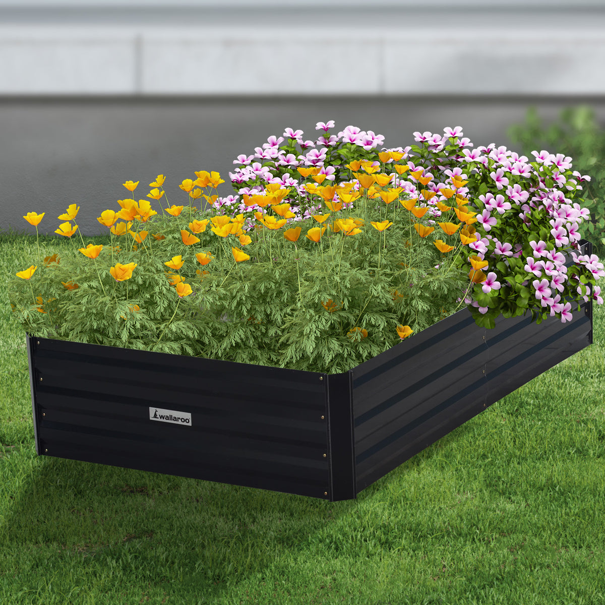 Wallaroo Garden Bed | 150 x 90 x 30cm | Galvanized Steel | Black