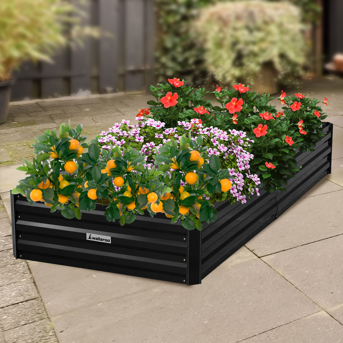 Wallaroo Garden Bed | 210 x 90 x 30cm | Galvanized Steel | Black