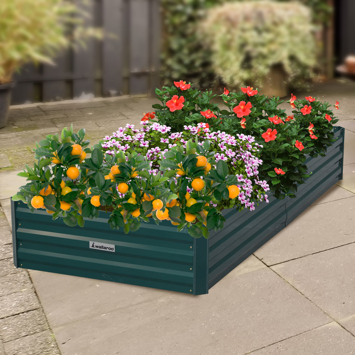 Wallaroo Garden Bed | 210 x 90 x 30cm | Galvanized Steel | Green
