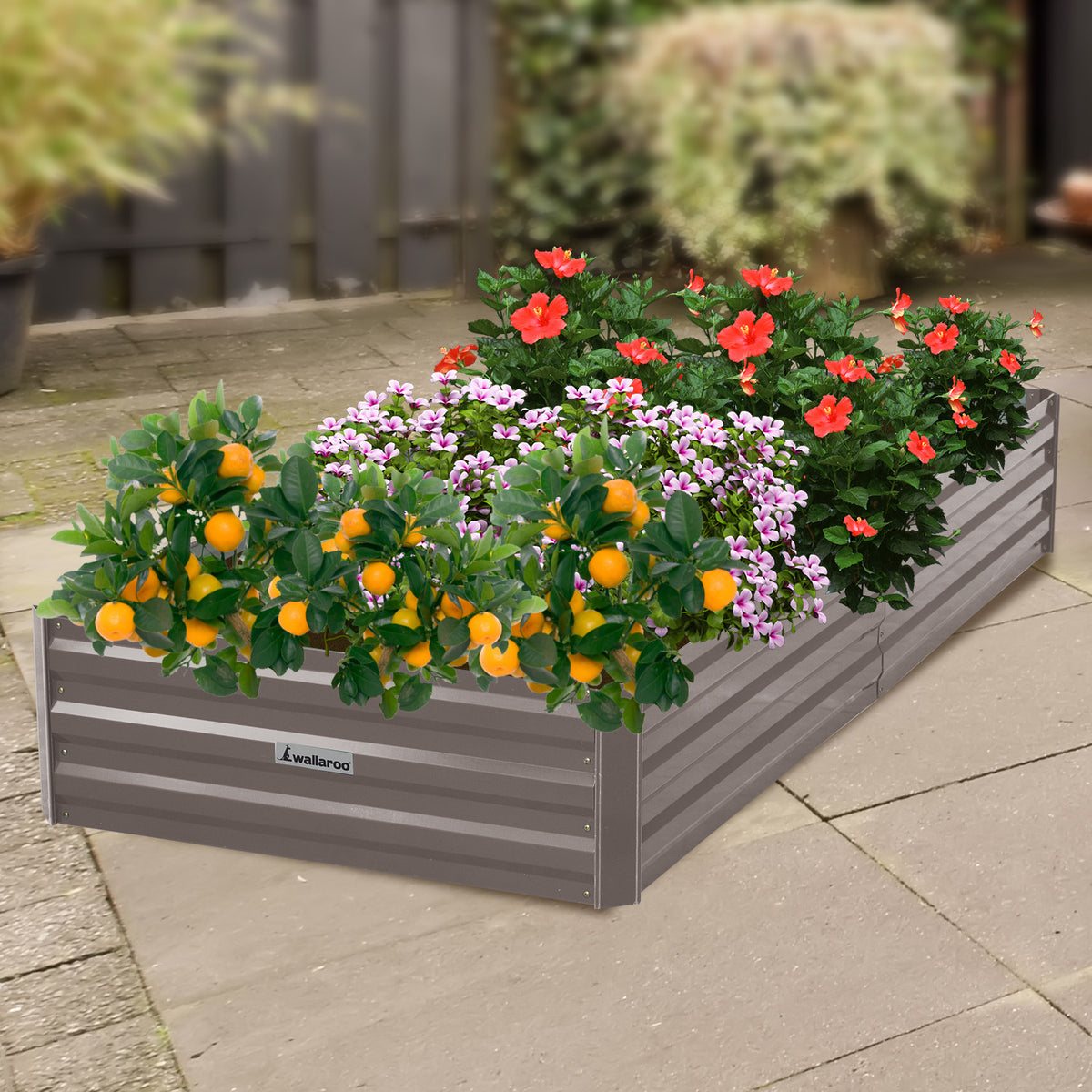 Wallaroo Garden Bed | 210 x 90 x 30cm | Galvanized Steel | Grey