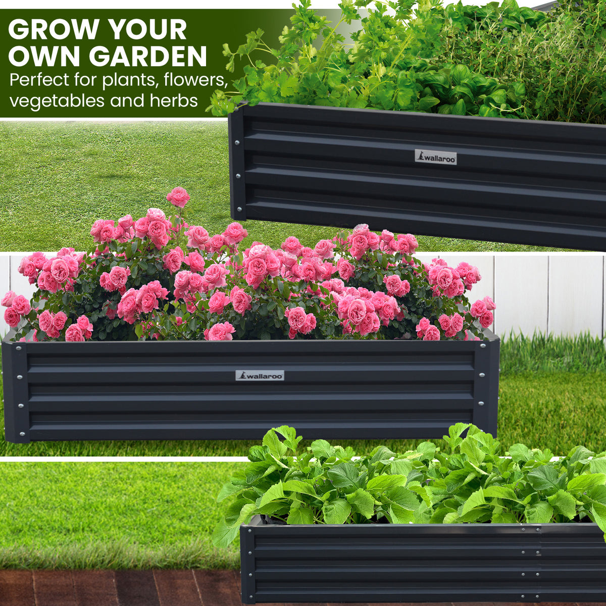 Galvanized Steel Garden Bed | 240 x 120 x 30cm | Black