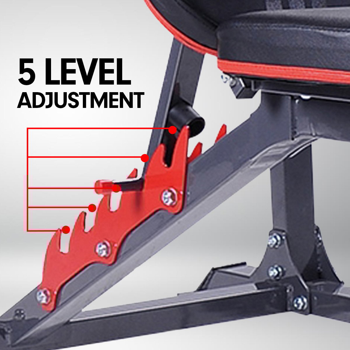 Powertrain Adjustable Weight Bench Home Gym Bench Press | 301