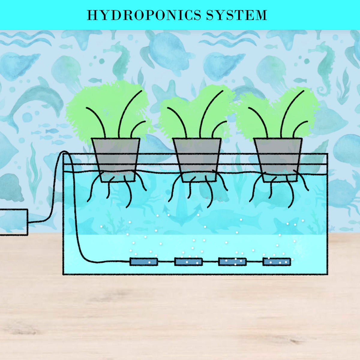 Dynamic Power White Aquarium Air Pump | Oxygen Hydroponic (4 Outlet, 670L/H, 8W)