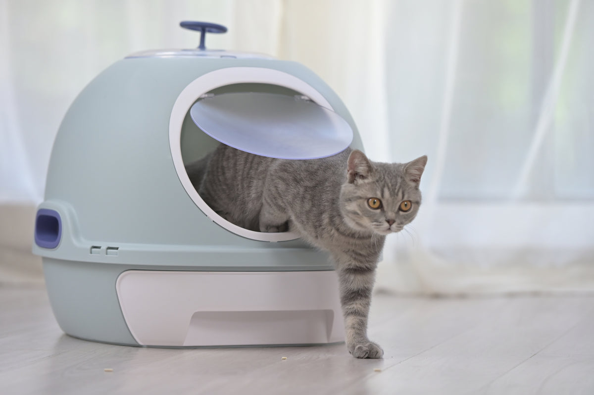 Hooded Cat Toilet Litter Box Tray House | With Drawer & Scoop, Blue