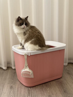 XXL Top Entry Cat Litter Box | No Mess Large Enclosed Covered Kitty Tray, Pink
