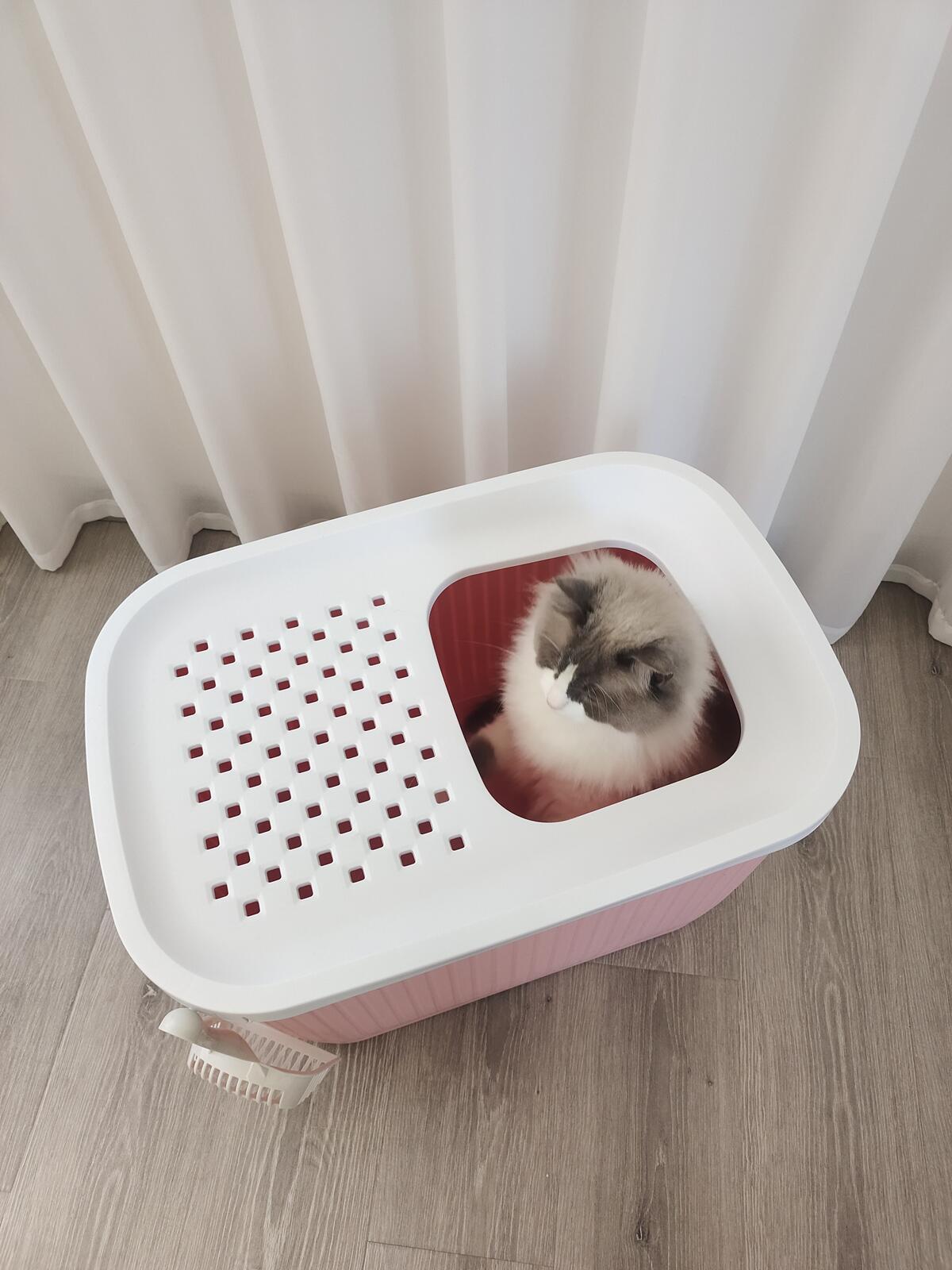 XXL Top Entry Cat Litter Box | No Mess Large Enclosed Covered Kitty Tray, Pink