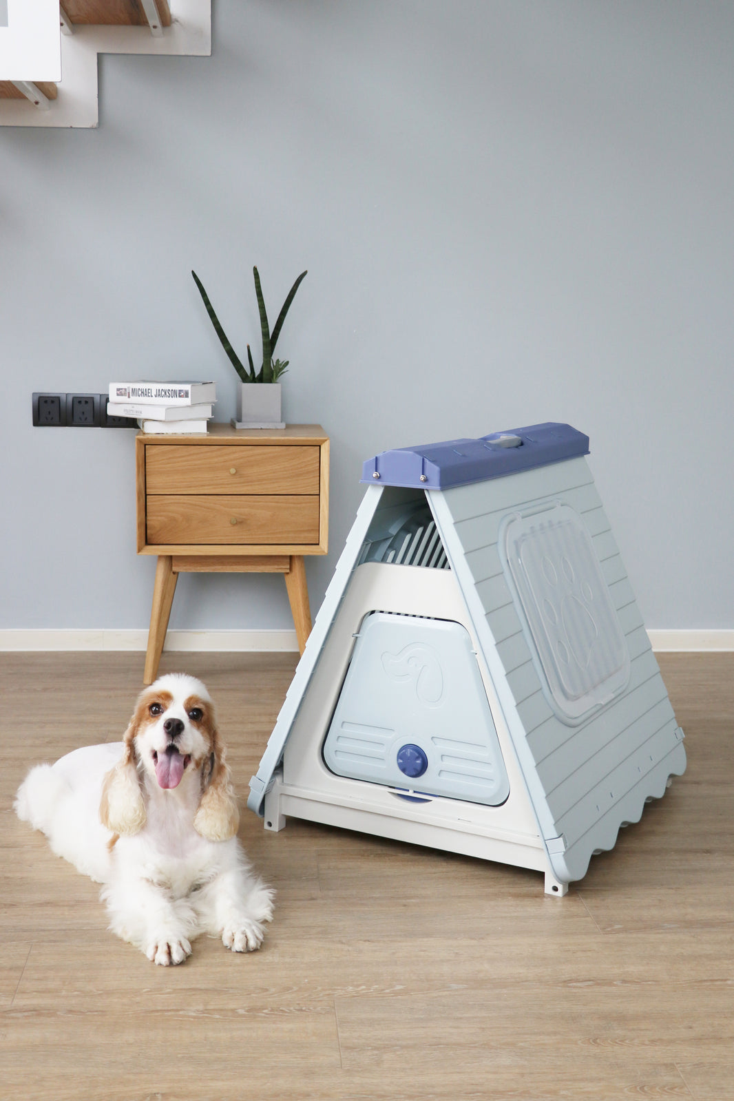 Small Blue Foldable Plastic Pet Dog Puppy Cat Kennel