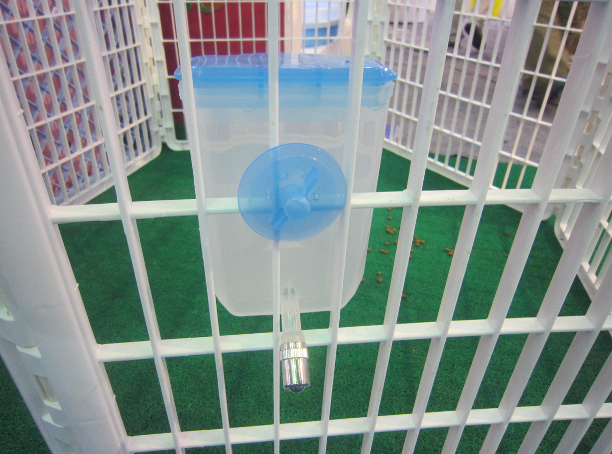 Hanging Water Bottle for Pets - Blue