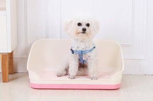 Portable Dog Potty Training Tray with Wall - Pink (Medium)