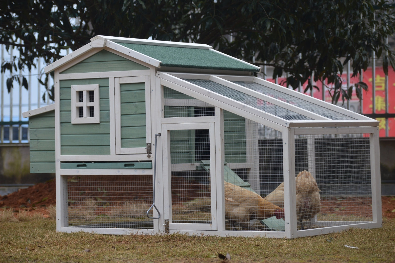 Large Green Chicken Coop | Rabbit Hutch, Ferret & Guinea Pig Cage