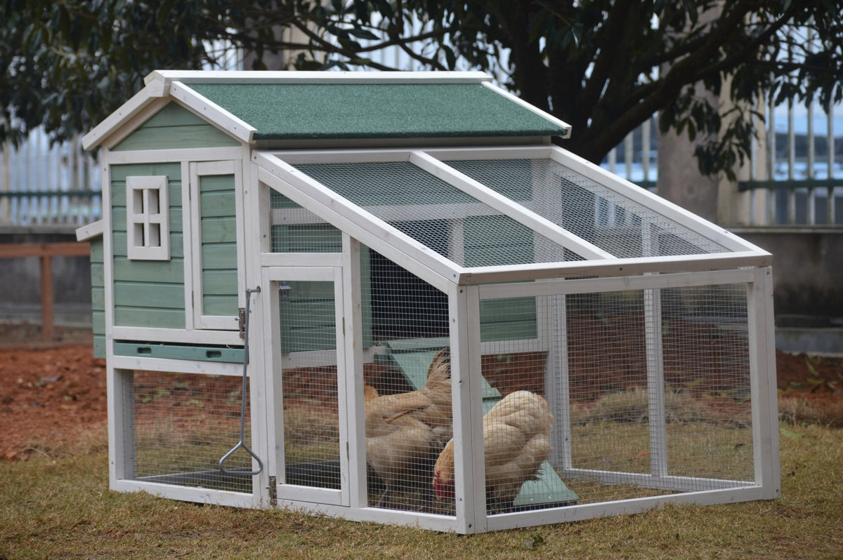 Large Green Chicken Coop | Rabbit Hutch, Ferret & Guinea Pig Cage