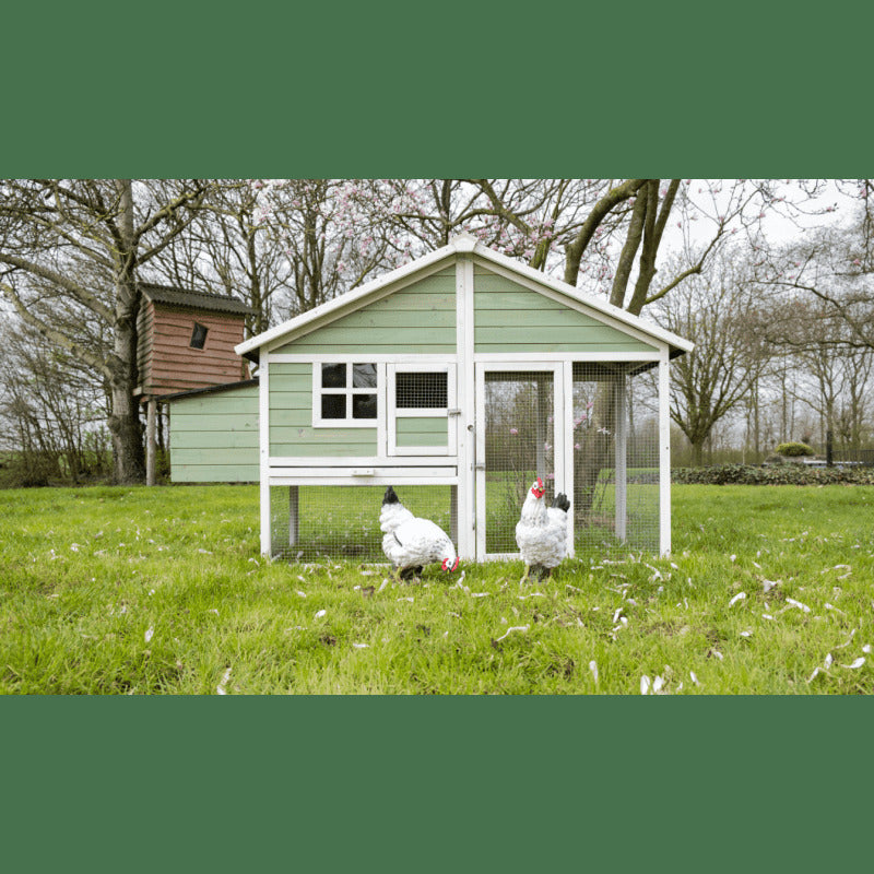 Green Chicken Coop Rabbit Hutch | Spacious Home for Your Pets