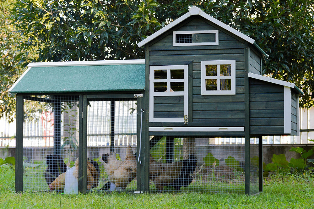 XL Chicken Coop Rabbit Hutch | Guinea Pig & Ferret House