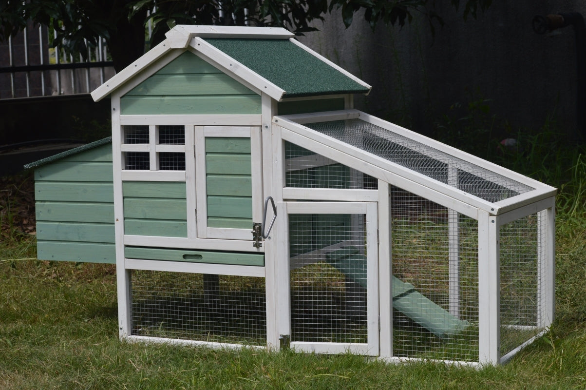Green Small Chicken Coop with Nesting Box | Ideal for 2 Chickens