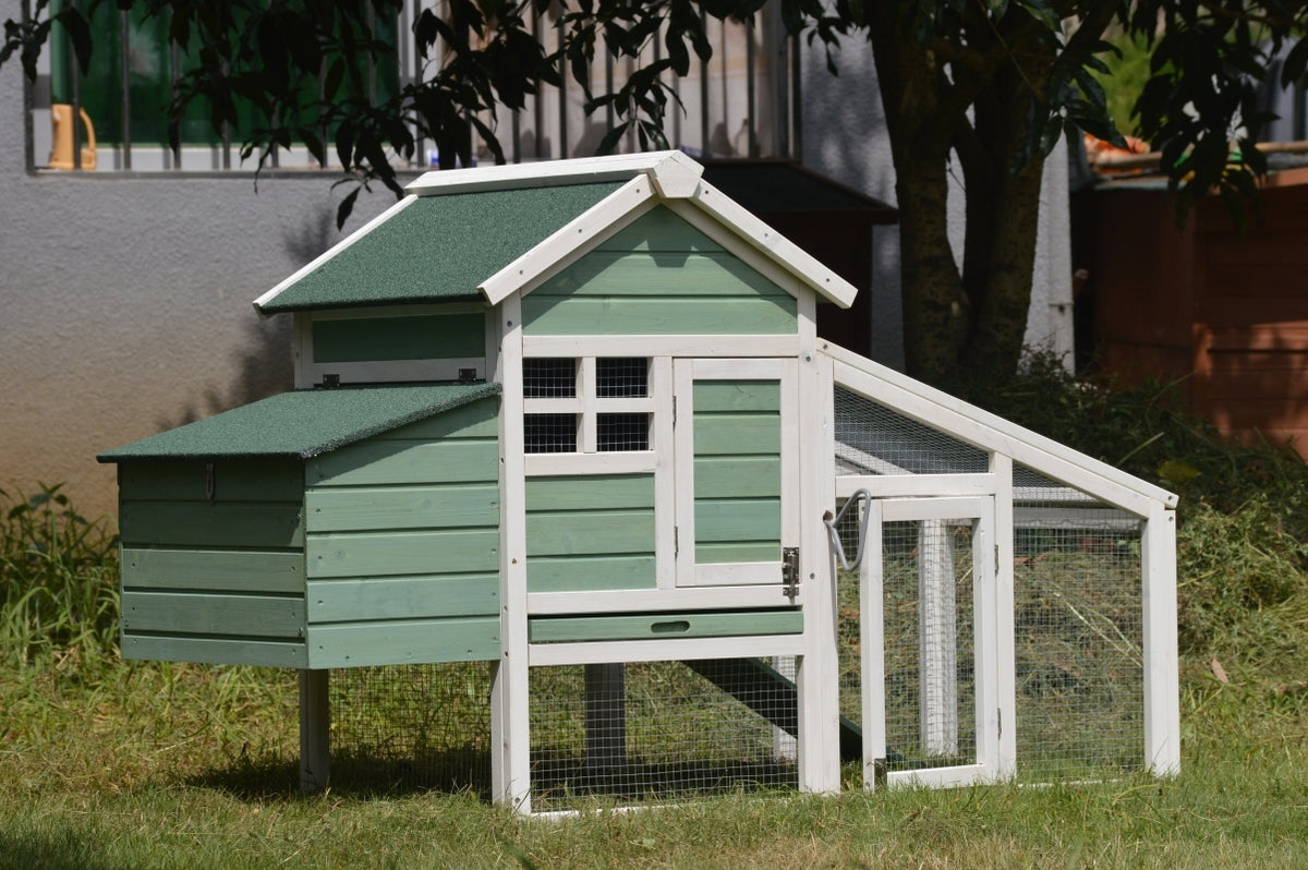 Green Small Chicken Coop with Nesting Box | Ideal for 2 Chickens