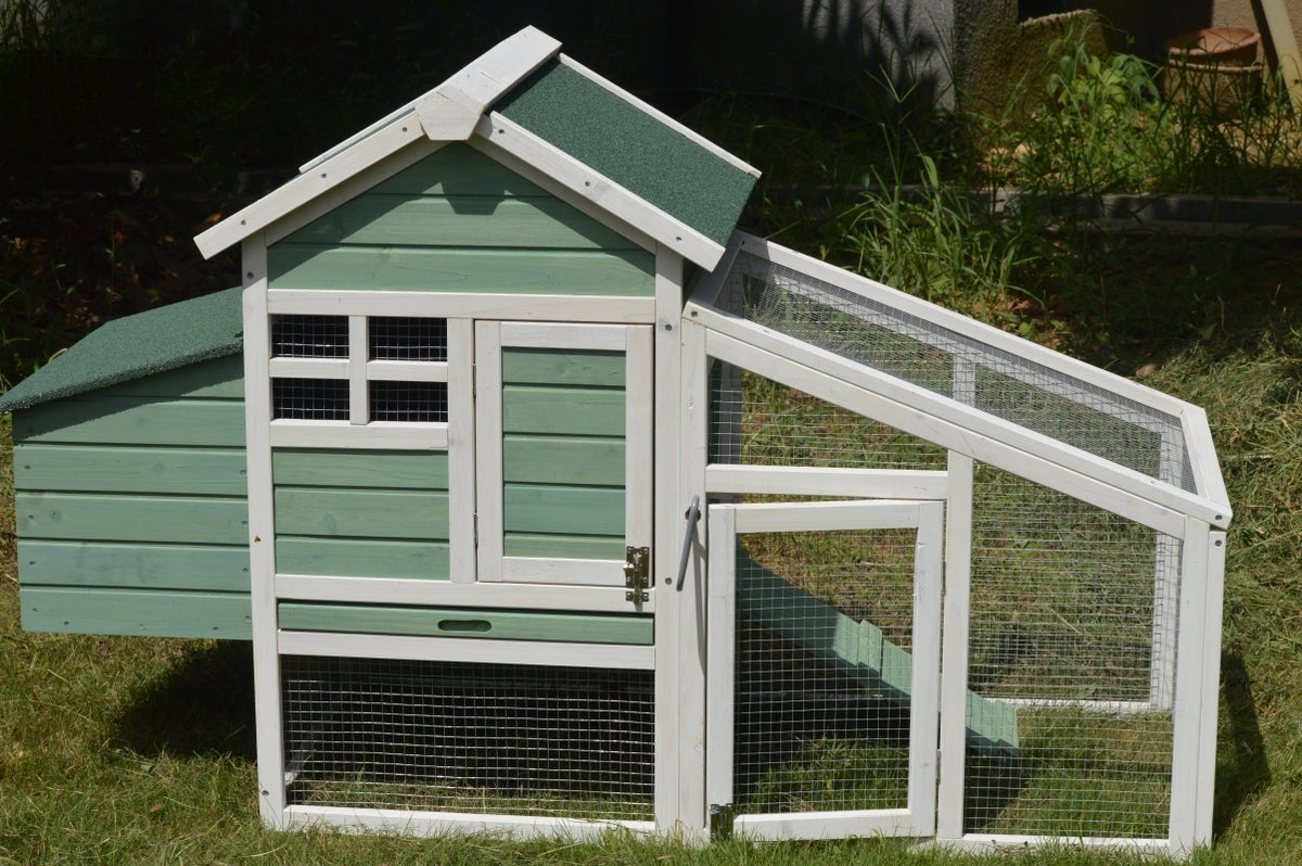 Green Small Chicken Coop with Nesting Box | Ideal for 2 Chickens