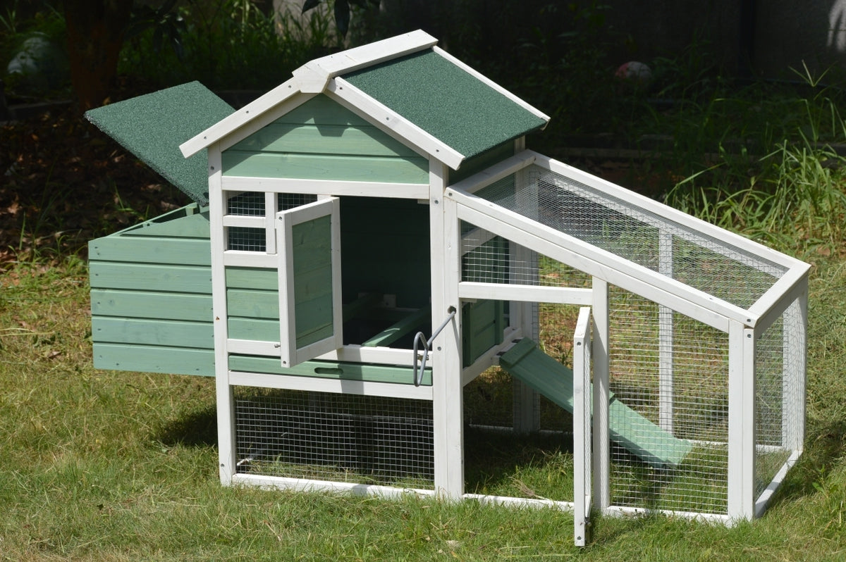 Green Small Chicken Coop with Nesting Box | Ideal for 2 Chickens
