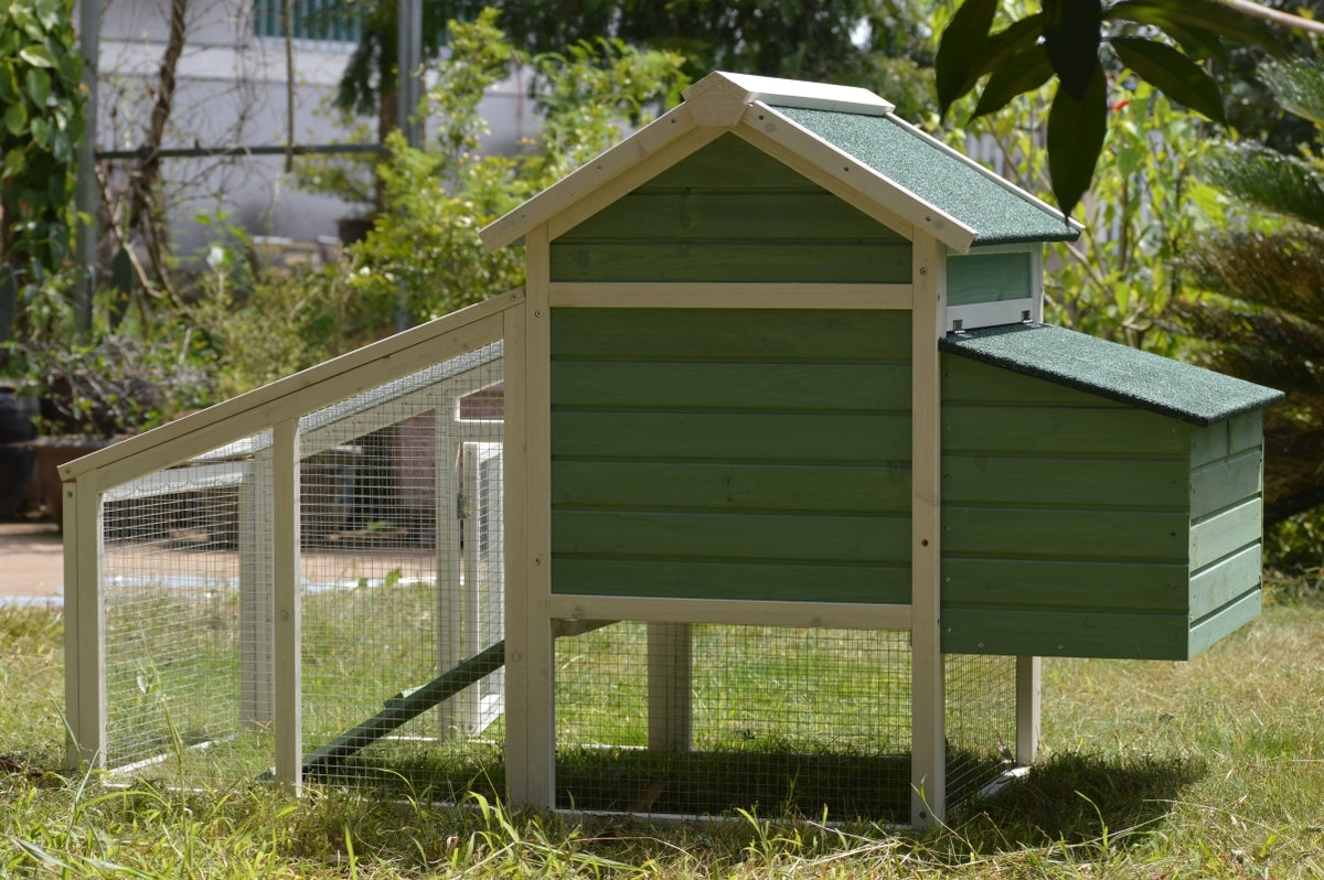 Green Small Chicken Coop with Nesting Box | Ideal for 2 Chickens