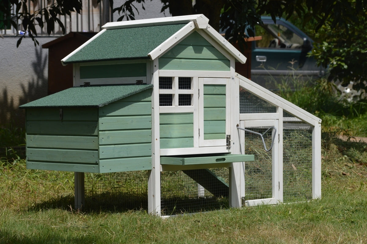 Green Small Chicken Coop with Nesting Box | Ideal for 2 Chickens