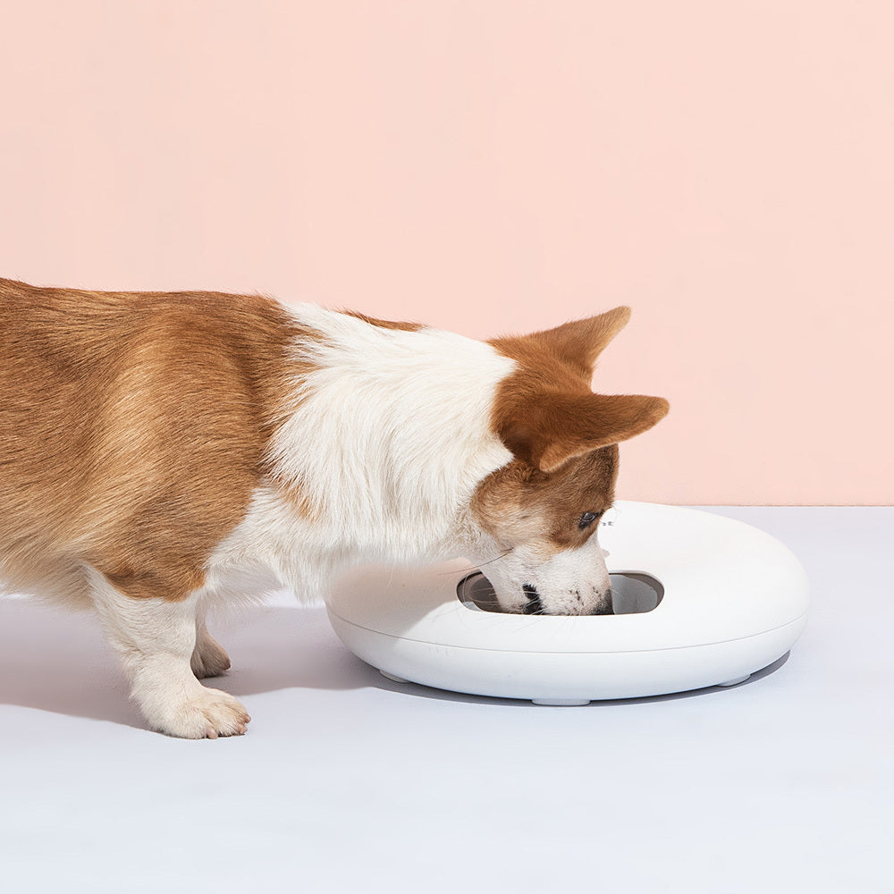 Automatic Pet Feeder w/ Programmable Timer | White (6 Meals)