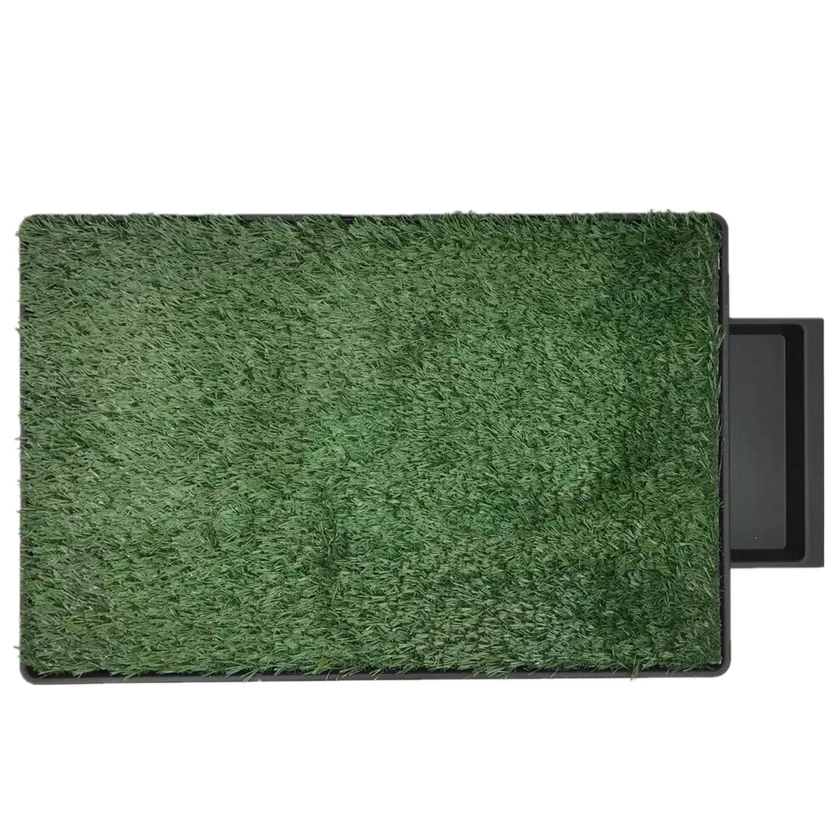 XL Indoor Dog Grass Potty Training Mat | 1 Grass | Loo Pad