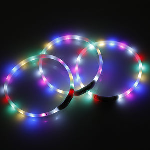 Small 40CM LED Dog Collar USB Rechargeable for Pet Safety