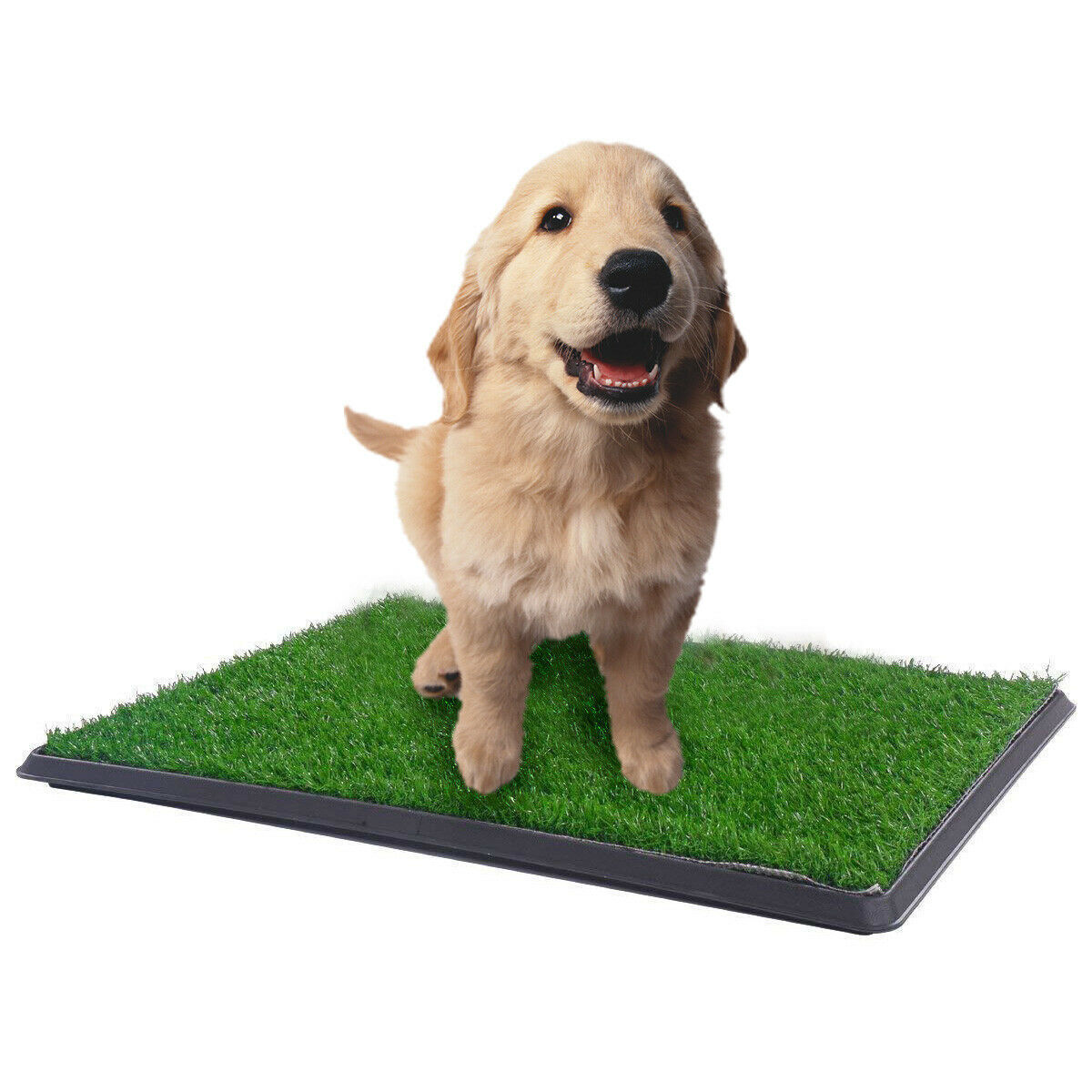 XL Indoor Dog Puppy Toilet Grass Training Mat Loo Pad Potty with 3 Grass