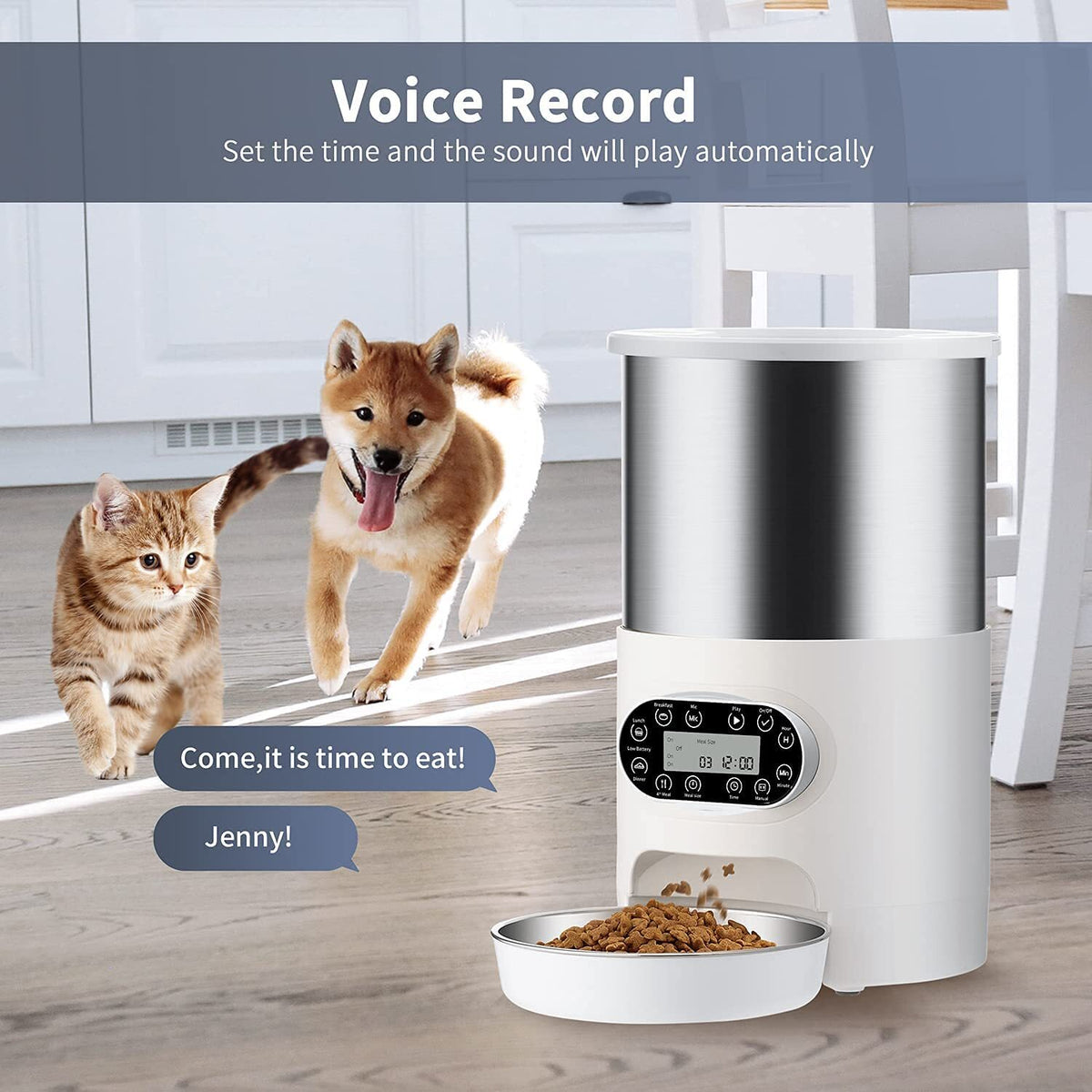 Electric Automatic Pet Dog Cat Rabbit Feeder Stainless Steel | 3L Dispenser