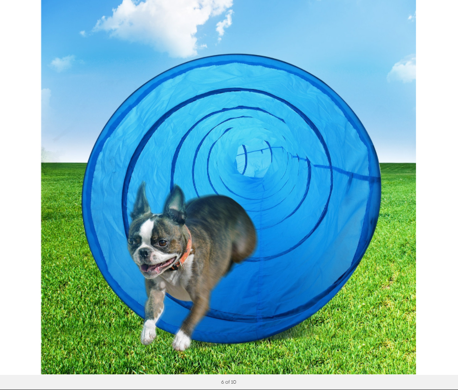 Portable Pet Dog Agility Training Exercise Tunnel Chute | 5.5M | Carry Bag Included