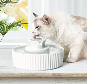 Electric Pet Water Fountain | Ceramic | Bowl Dispenser