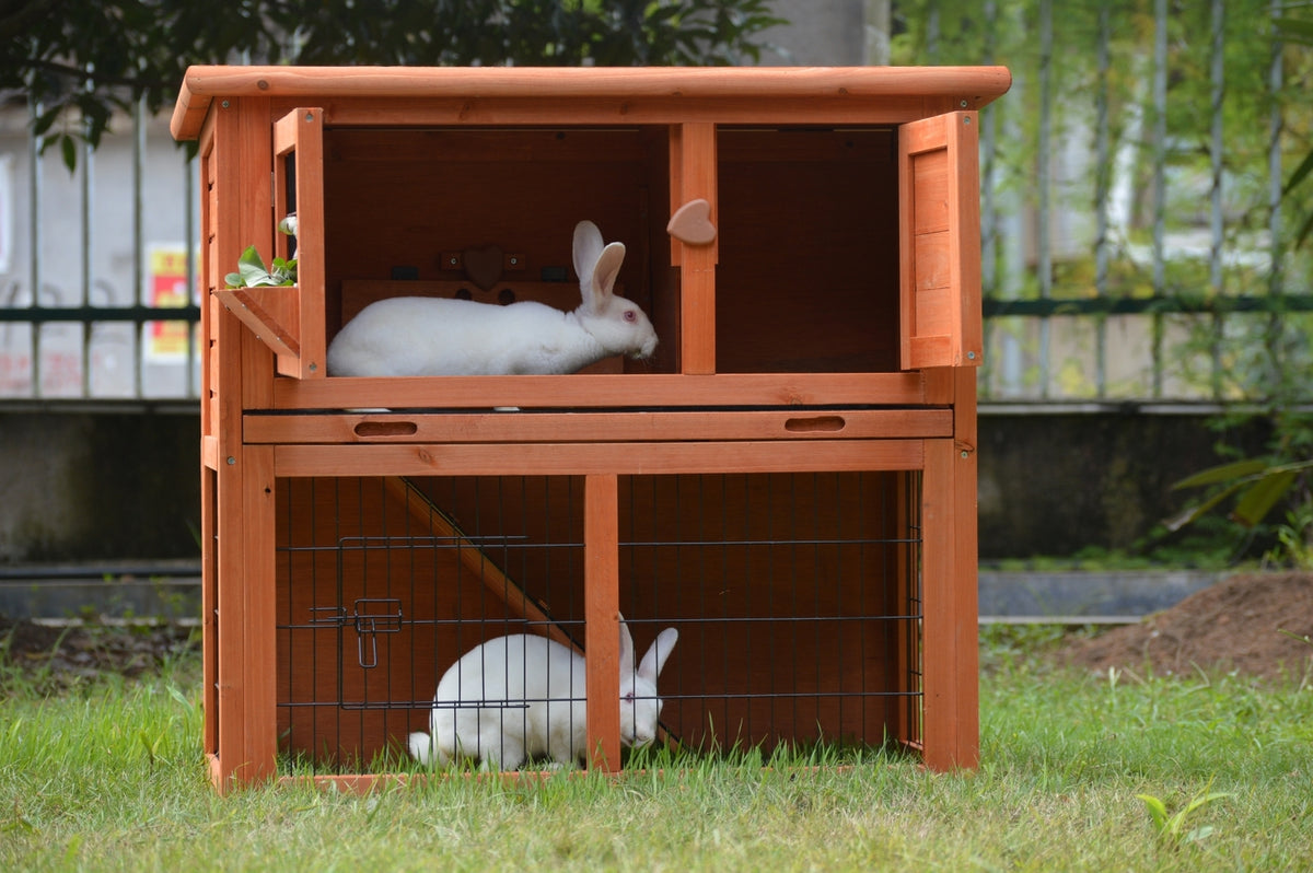 Double Storey Rabbit Hutch | Guinea Pig and Ferret Cage | Pull Out Tray